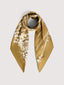 COCCINELLE ALGAE
