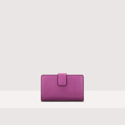 METALLIC TRICOLOUR WALLET
